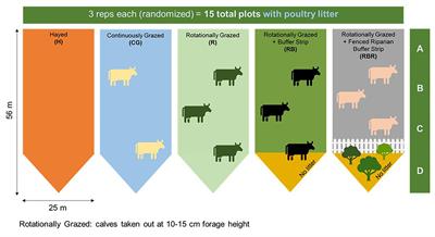 Do Long-Term Conservation Pasture Management Practices Influence Microbial Diversity and Antimicrobial Resistant Genes in Runoff?